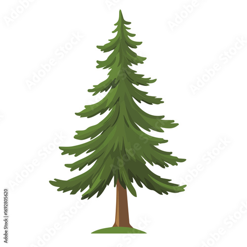 Flat 2D Pine Tree illustration, vector graphic in icon style, on white background