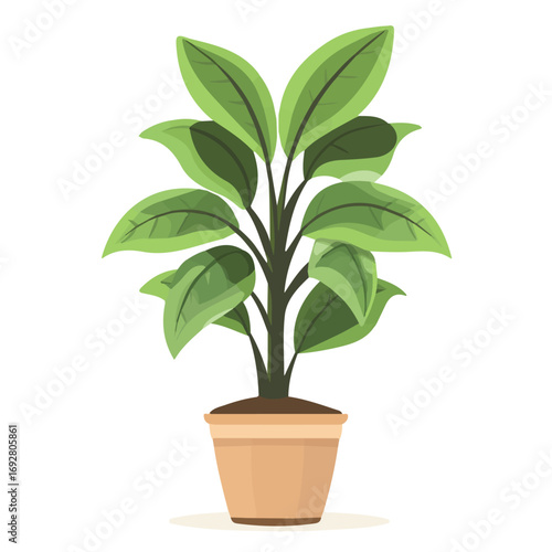 Flat 2D Ti Plant illustration, vector graphic in icon style, on white background