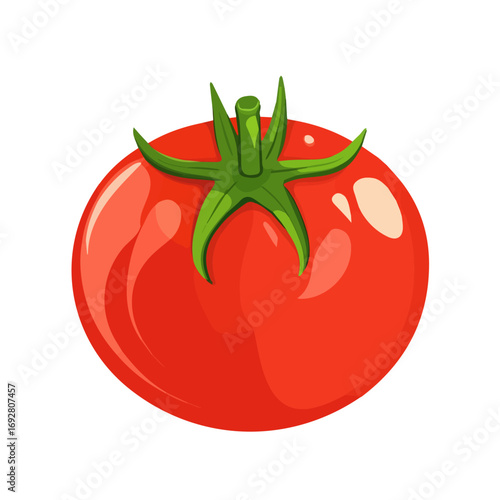 Tomato, flat style 2D vector image, isolated on a white background