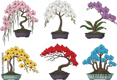 Colorful orchid bonsai tree collection in ceramic pots, exotic floral arrangement, indoor plant decoration, nature-inspired art for home and garden