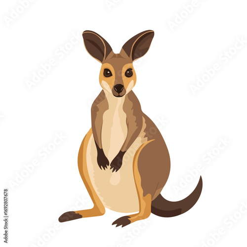 Wallaby, flat style 2D vector image, isolated on a white background