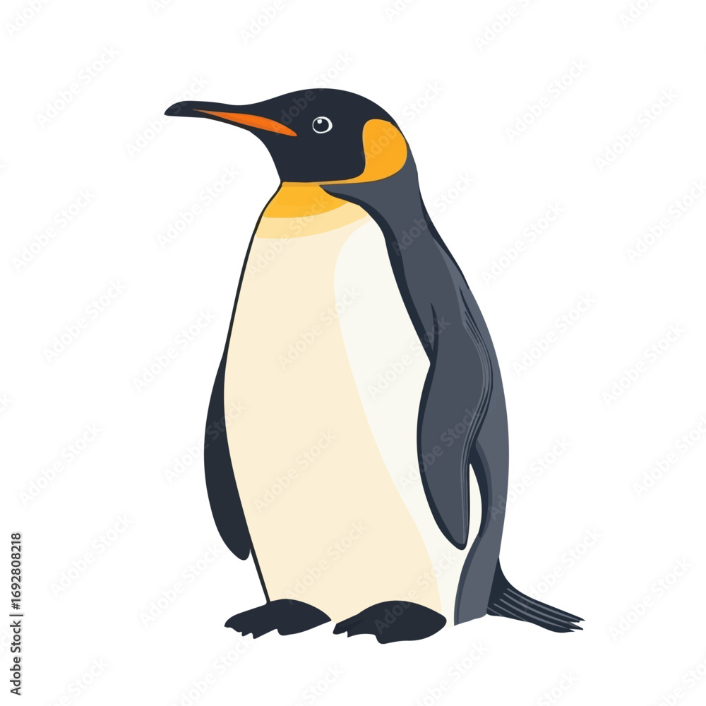 Fototapeta premium Penguin, flat style 2D vector image, isolated on a white background