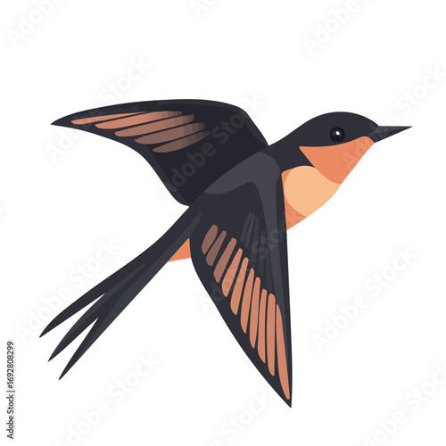 Flat 2D Swiftlet illustration, vector graphic in icon style, on white background