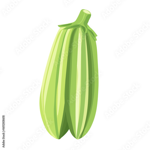 Minimal flat vector of a Okra, 2D icon-style illustration on white background