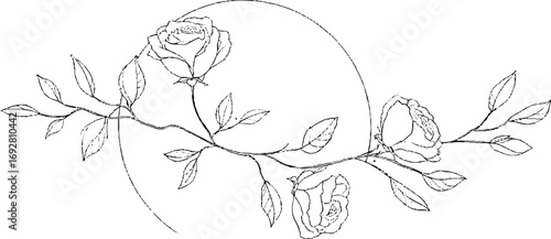 Wallpaper Mural Minimalist line art border of roses with abstract design for aesthetic decor Torontodigital.ca