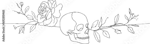 Minimalist line art border of skulls and roses for artistic design