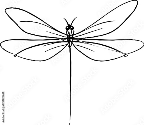 Minimalist line art dragonfly illustration for bohemian design and tattoo inspiration