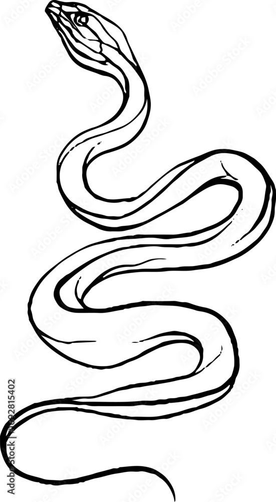 Fototapeta premium Minimalist line art of snake for tattoos and decor