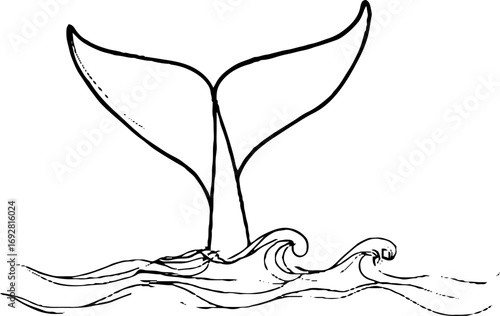 Minimalist line art of whale tail in ocean waves for modern decor and design