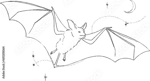 Minimalist line art of bat flying in night sky for tattoo design and aesthetic decor