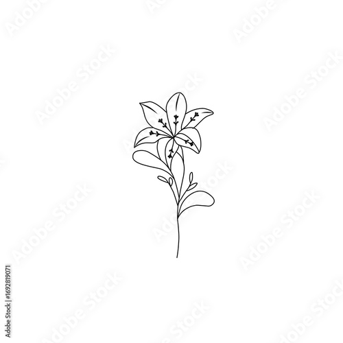 Transparent black flower illustration, decorative with stamens and leaves. Coloring page.