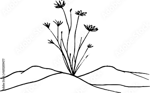 Minimalist line art of desert dunes and wildflowers for aesthetic decor