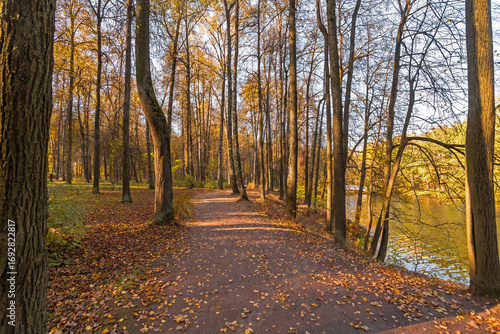 path in autumn forest