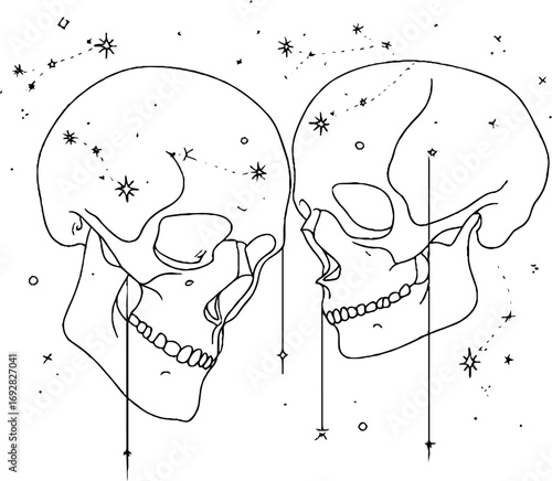 Minimalist line art illustration of skull outline with celestial elements