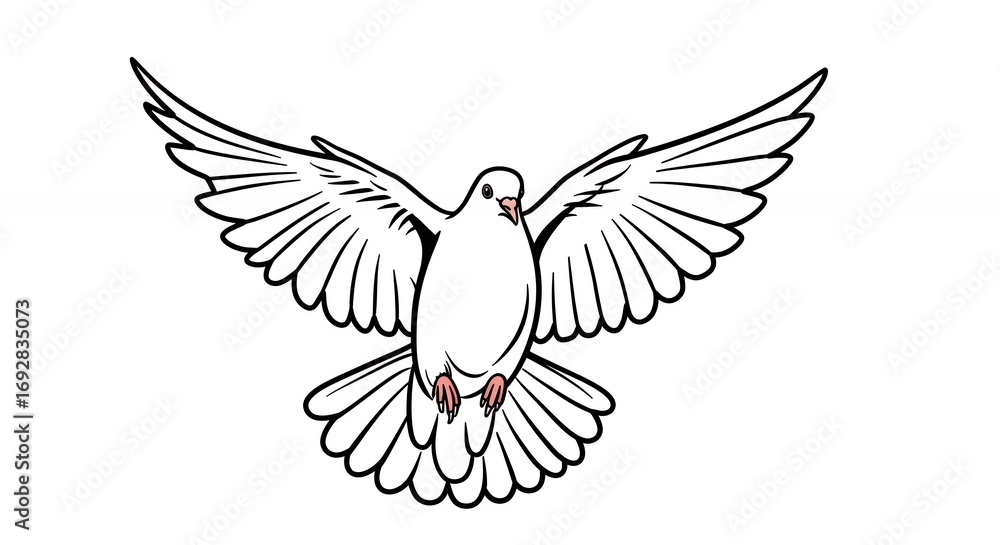 Fototapeta premium White dove in flight