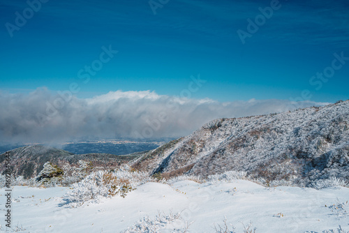 Wallpaper Mural Cloud-covered landscape from Eorimok Trail in Hallasan, Jeju during winter Torontodigital.ca