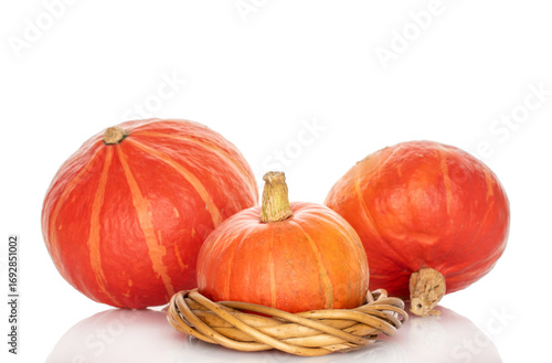 Wallpaper Mural Ripe sweet pumpkins isolated on white background, close-up. Torontodigital.ca
