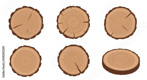 Collection of wood log cross sections showing annual growth rings and bark textures