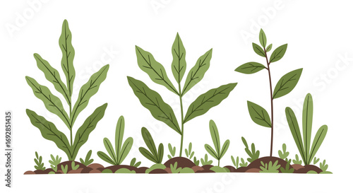 Celebrating the growth of young plants and the vital role they play in our ecosystem