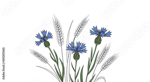 A delicate bouquet of blue cornflowers and wispy wild grasses in a rustic field setting