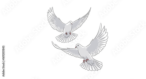 Two peaceful white doves soaring gracefully across a bright sky together
