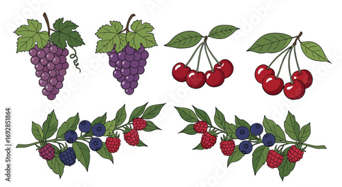 A beautiful assortment of fresh fruits including grapes cherries berries and other delicious edible produce