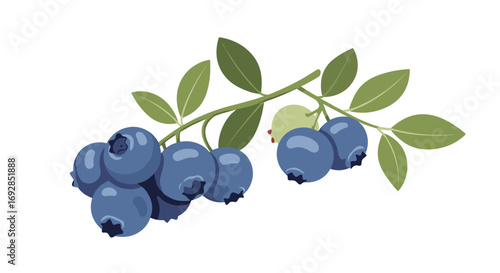 Fresh ripe blueberries on a twig with green leaves healthy food nature and diet