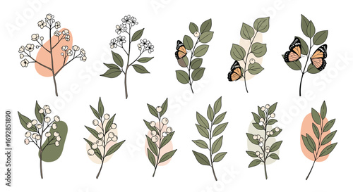 Hand drawn botanical illustrations featuring delicate greenery and fluttering butterflies organic shapes