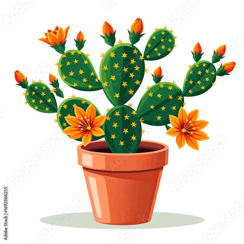Blooming Cactus in Terracotta Pot with Orange Blossoms