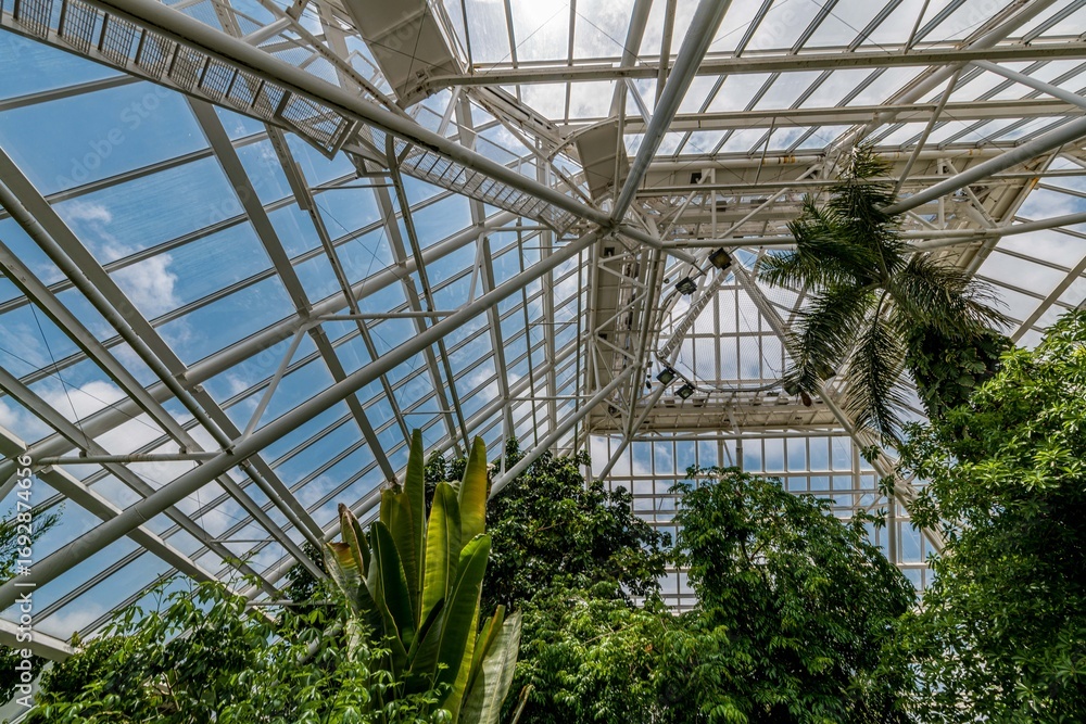 Fototapeta premium garden
