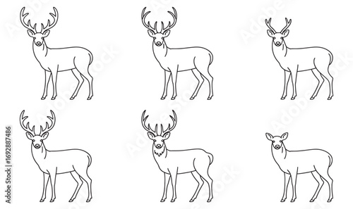 Collection of deer in various poses isolated on white background, line art style illustration