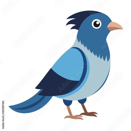 blue bird on a white background