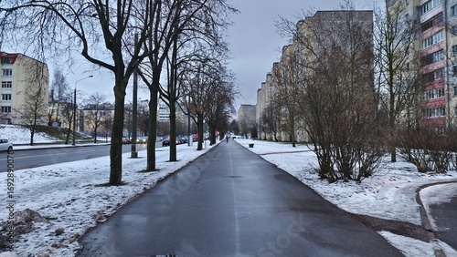 Foto After the snowfall, the ground is covered with snow