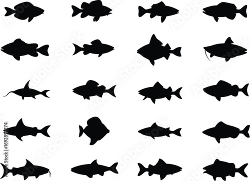 Fish silhouettes collection, marine animals vector illustration, underwater sea life design, aquatic species icons, fishing elements, ocean wildlife artwork, freshwater and saltwater fish shapes