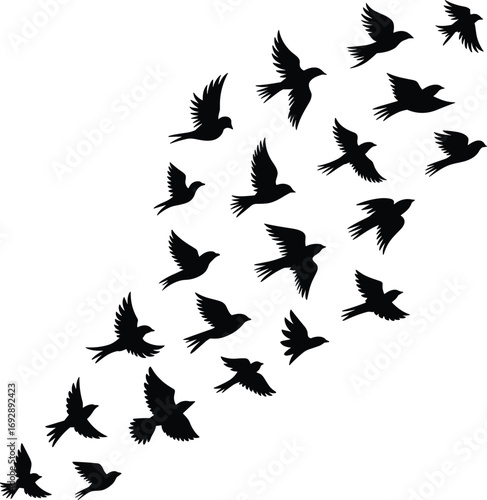 Flying birds silhouette vector illustration, flock of birds in sky, freedom concept, wildlife design, migration pattern, nature animals, black bird shapes