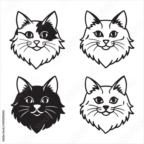 A Playful and Affectionate Ragdoll, a Sweet and Loving Companion Known for its Fluffy Coat and Friendly Personality, a Perfect Addition to a Family Home