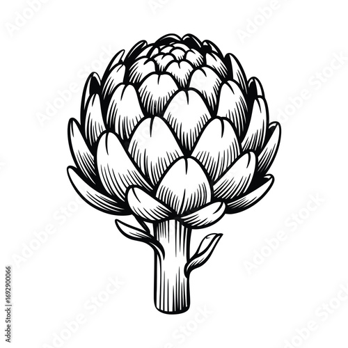 Black and white line drawing of an artichoke with detailed botanical leaves and spiral pattern on stem