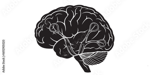 A stark, high-contrast illustration of a human brain in profile, emphasizing its intricate structure and cerebral cortex.