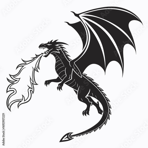 black and white dragon