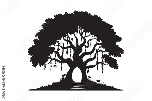 Mysterious silhouette of a large ancient tree with hanging elements