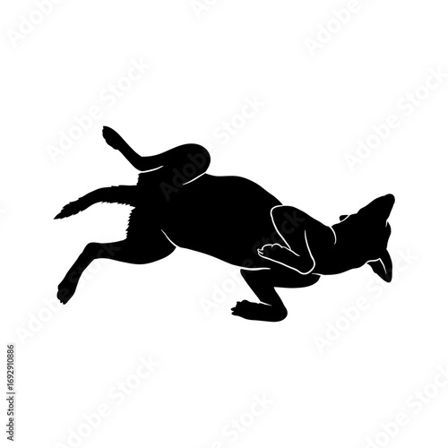Playful Silhouette: A spirited dog lies playfully on its back, enjoying a moment of carefree joy and spontaneity. The stark silhouette accentuates the dog's form.