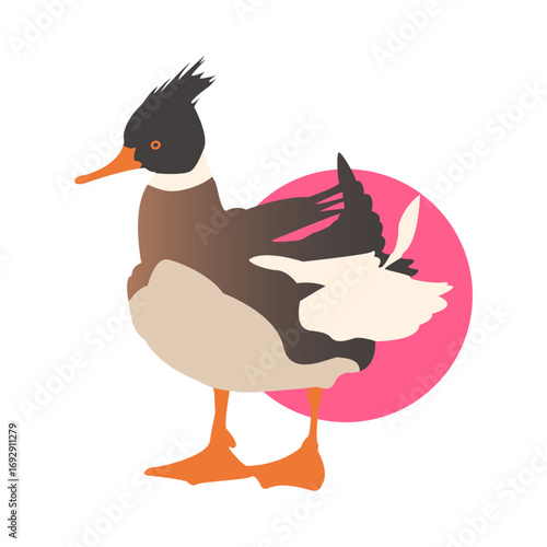 Striking Duck Illustration: A captivating illustration of a vibrant duck, showcasing its unique plumage and characteristic features. This artwork embodies a sense of character and style.