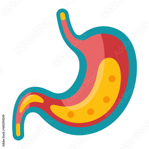 Vibrant and detailed illustration of the human stomach, showcasing internal anatomy and digestive processes, ideal for medical, educational, and healthcare designs