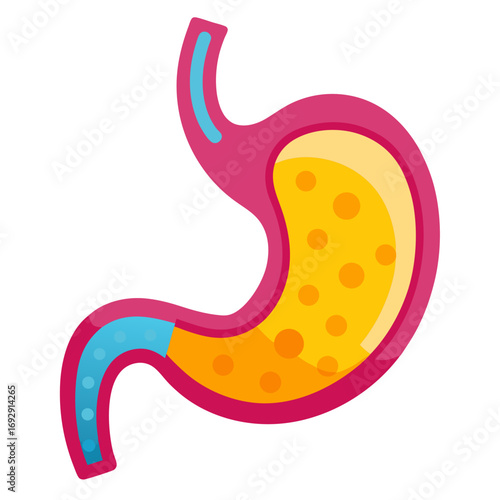 Vibrant, colorful illustration of a human stomach, perfect for medical, educational, or health-related projects, ideal for digestive system, anatomy, and healthcare visuals