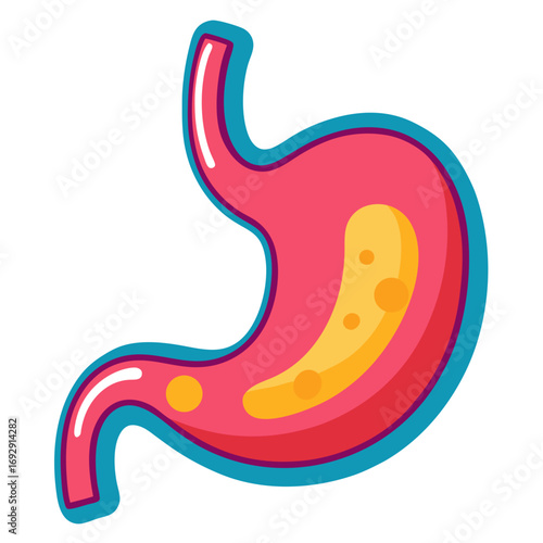 Vibrant illustration of a healthy stomach, perfect for medical presentations, educational materials, or health and wellness campaigns, showcasing digestive health and anatomical details.