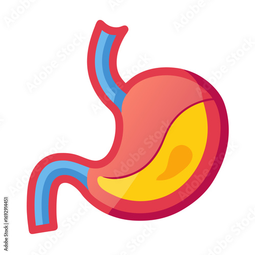 Vibrant and detailed illustration of the human stomach, perfect for medical education, health resources, and anatomical studies, showcasing internal structure and digestive system components