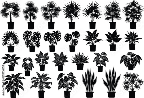 Silhouette potted plants vector set, black botanical icons, indoor houseplants collection, decorative foliage shapes, minimalist plant graphics, gardening design elements