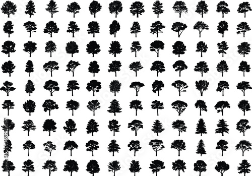 Tree silhouette bundle, botanical shapes, forest elements, black vector trees, nature icons, landscape design, diverse foliage, coniferous, deciduous, graphic collection
