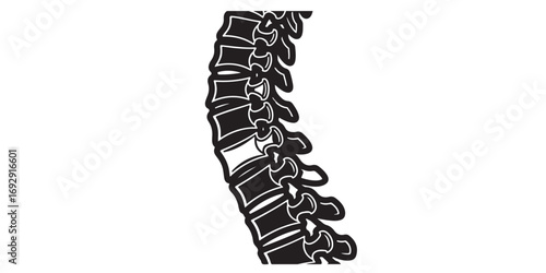 A black and white illustration shows the side view of the human vertebral column, highlighting the curvature and individual vertebrae.