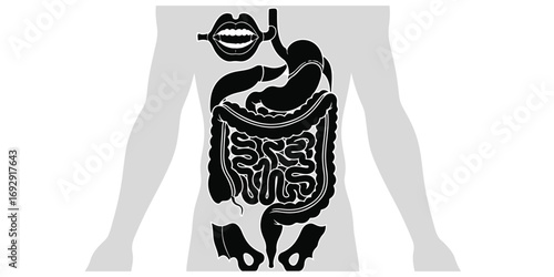 A stylized black and white illustration of the human digestive system within an outline of the human body, showing organs from mouth to intestines.